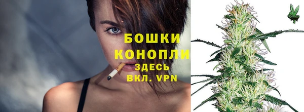 прущие грибы Арсеньев