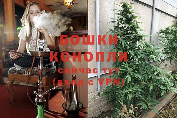 прущие грибы Арсеньев