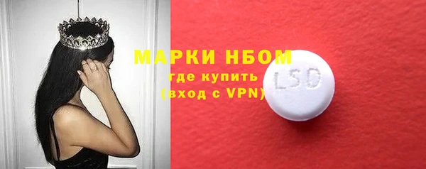 прущие грибы Армянск