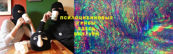 прущие грибы Арсеньев