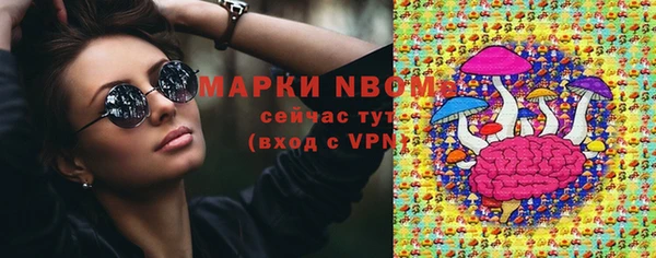 прущие грибы Армянск