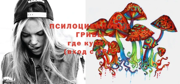 прущие грибы Армянск