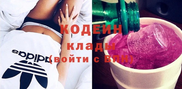 прущие грибы Арсеньев