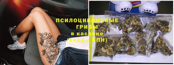 прущие грибы Армянск