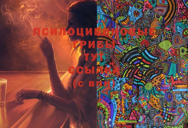прущие грибы Арсеньев