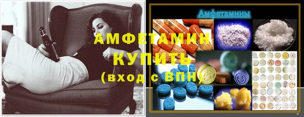 прущие грибы Армянск