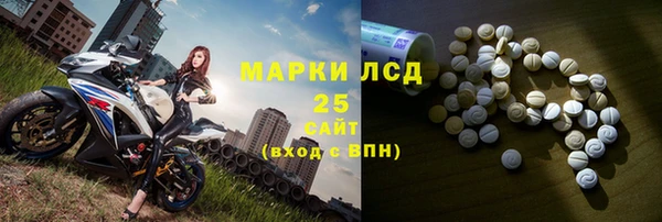прущие грибы Армянск