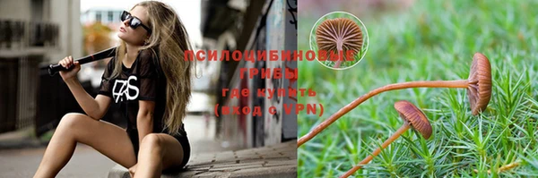 прущие грибы Арсеньев