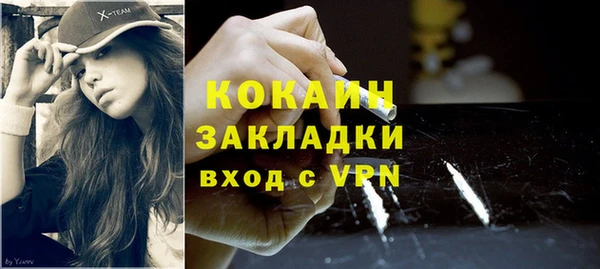 прущие грибы Арсеньев